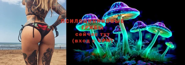 индика Аркадак
