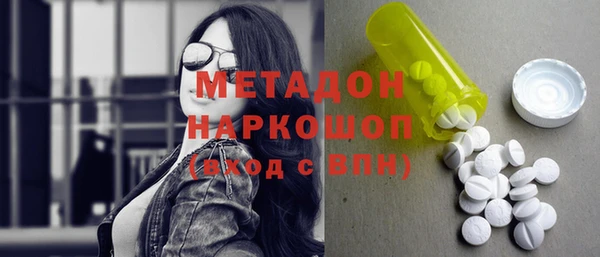 индика Аркадак
