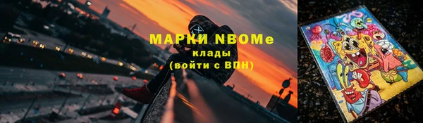 бошки Алексин