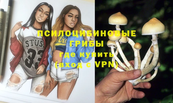 индика Аркадак