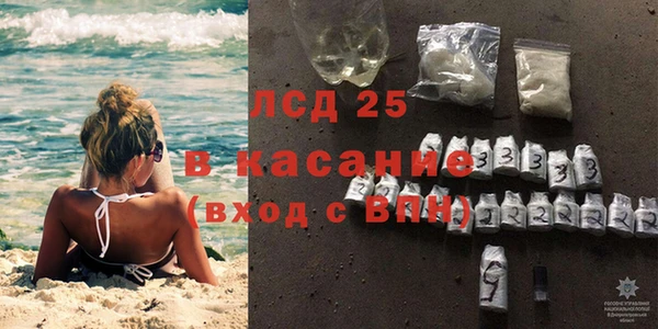 индика Аркадак