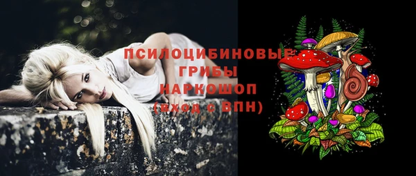 бошки Алексин