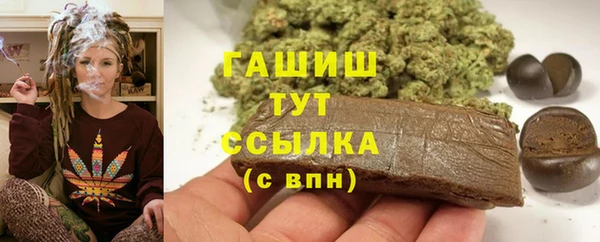 индика Аркадак