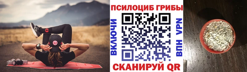 Галлюциногенные грибы Psilocybe Полысаево