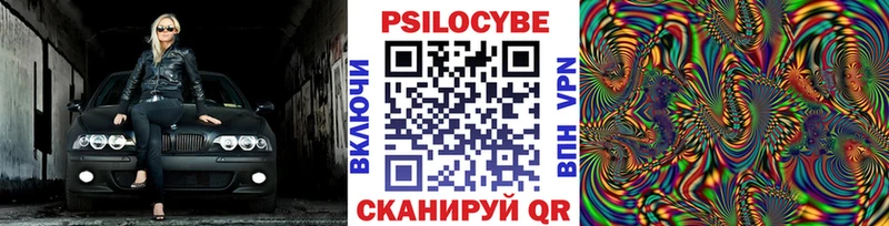 Галлюциногенные грибы Psilocybe  что такое   Полысаево 